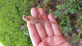 20160719_105712.jpg