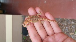 20160719_105724.jpg