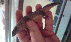 20160530_200538.jpg