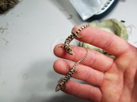 20160627_171530.jpg