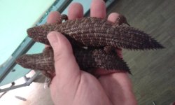 20160530_201118.jpg