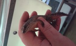 20160530_200628.jpg