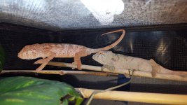20160221_143353.jpg