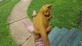 20160717_113748.jpg