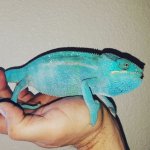 IMG_20160115_133156.jpg