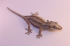 IMG_5682.jpg