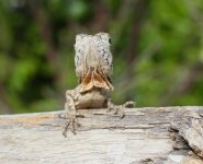 IMG_6969.jpg