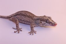 IMG_5677.jpg