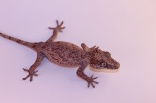 IMG_5692.jpg