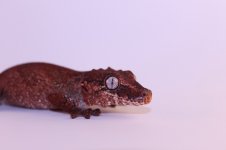 IMG_5697.jpg