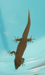 20160719_132419.jpg