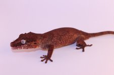 IMG_5699.jpg