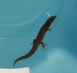 20160719_132125.jpg