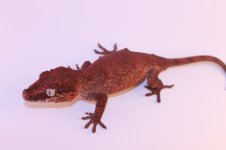 IMG_5700.jpg