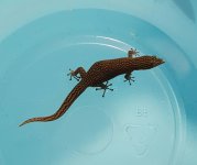 20160719_132020.jpg