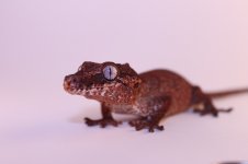 IMG_5703.jpg