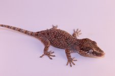 IMG_5707.jpg