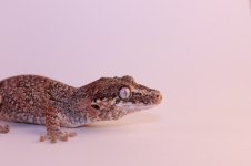 IMG_5708.jpg