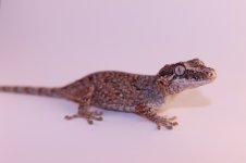 IMG_5712.jpg