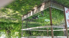20160521_142040.jpg