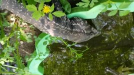 20160521_142006.jpg