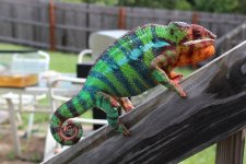 IMG_0104.jpg