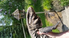 20160521_141729.jpg