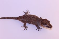 IMG_5715.jpg