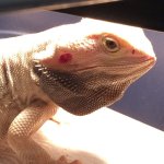 IMG_0840.JPG