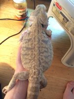 IMG_0832.jpg
