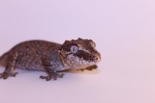 IMG_5716.jpg