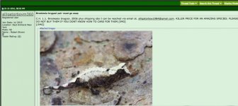 Screen Shot 2016-03-23 at 12.35.22 PM.jpg
