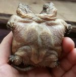 20160214_121740.jpg