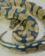IMG_20160617_233411.jpg