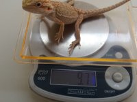 20160806_122348.jpg