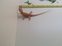20160806_122533.jpg