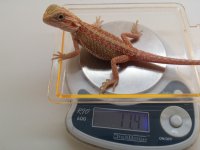 20160806_122609.jpg