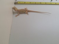 20160806_122044.jpg