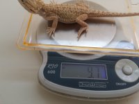 20160806_122126.jpg