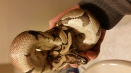 20160223_193420.jpg