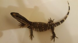 20160308_171619.jpg