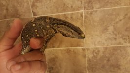 20160227_185344.jpg