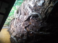 20160518_075637.jpg