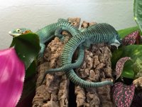 IMG_3705.jpg