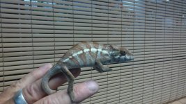 20160531_091131.jpg