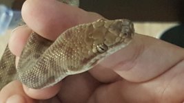 20160625_114705.jpg