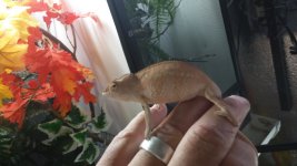 20160531_091011.jpg