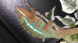 20160531_091428.jpg