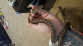 20160625_114636.jpg