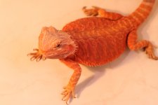 IMG_0240.jpg